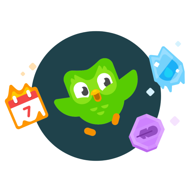 Duolingo Mascot icon