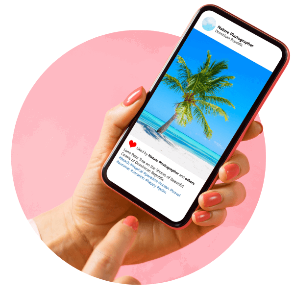 a phone screen showing a Instagram post with a picture of a tropical palm tree