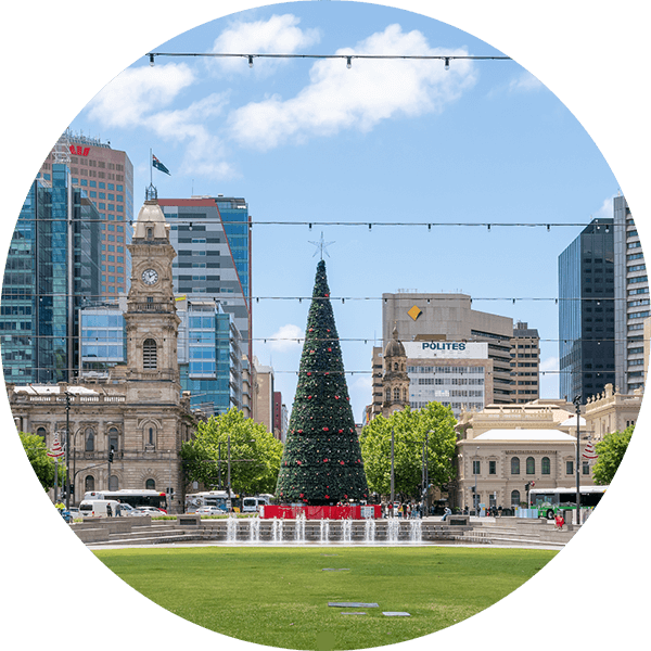 Christmas tree in Adelaide